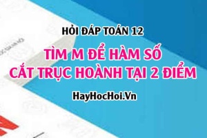 Tìm m để đồ thị cắt trục hoành tại 2 điểm? Toán lớp 12 - Hỏi đáp